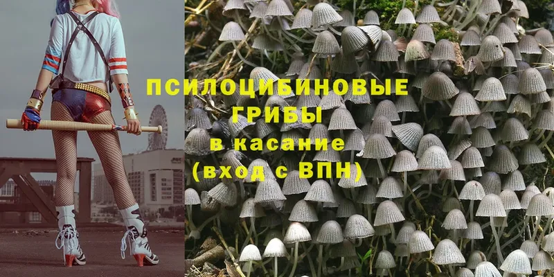 Галлюциногенные грибы Psilocybine cubensis  хочу   Людиново 