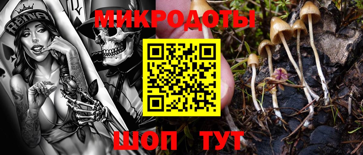 Людиново  Псилоцибиновые грибы мицелий  Псилоцибиновые грибы Psilocybe  Вход с VPN 