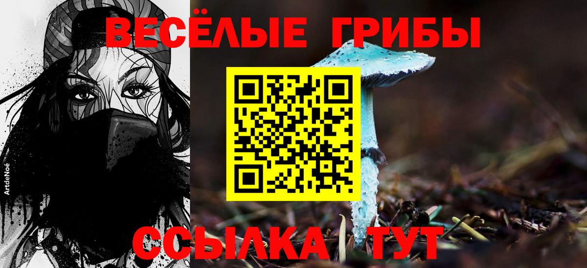 Галлюциногенные грибы Psilocybe Людиново